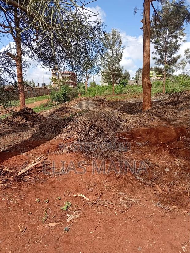 Plot for Sale in Ruiru - thumbnail 7