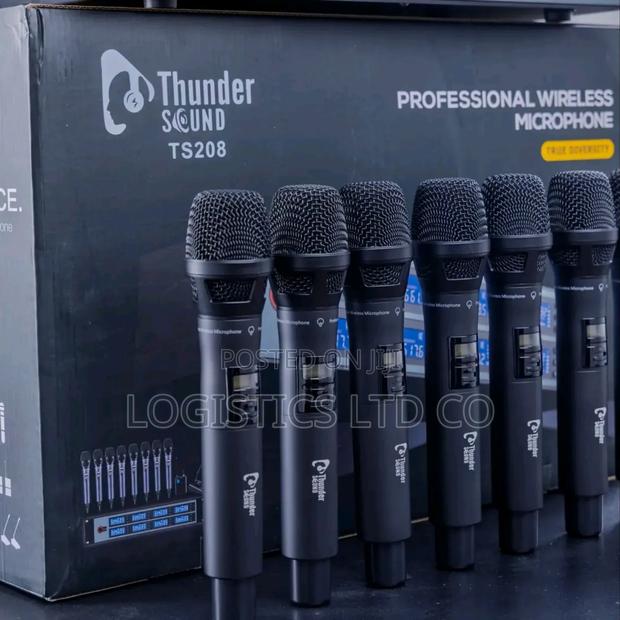 Thunder Sound Ts208 8 in 1 Professional Wireless Microphone