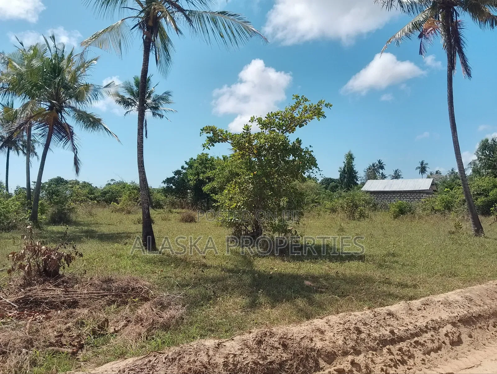 1/8 Prime Plot for Sale in Dongo Kundu Bypass