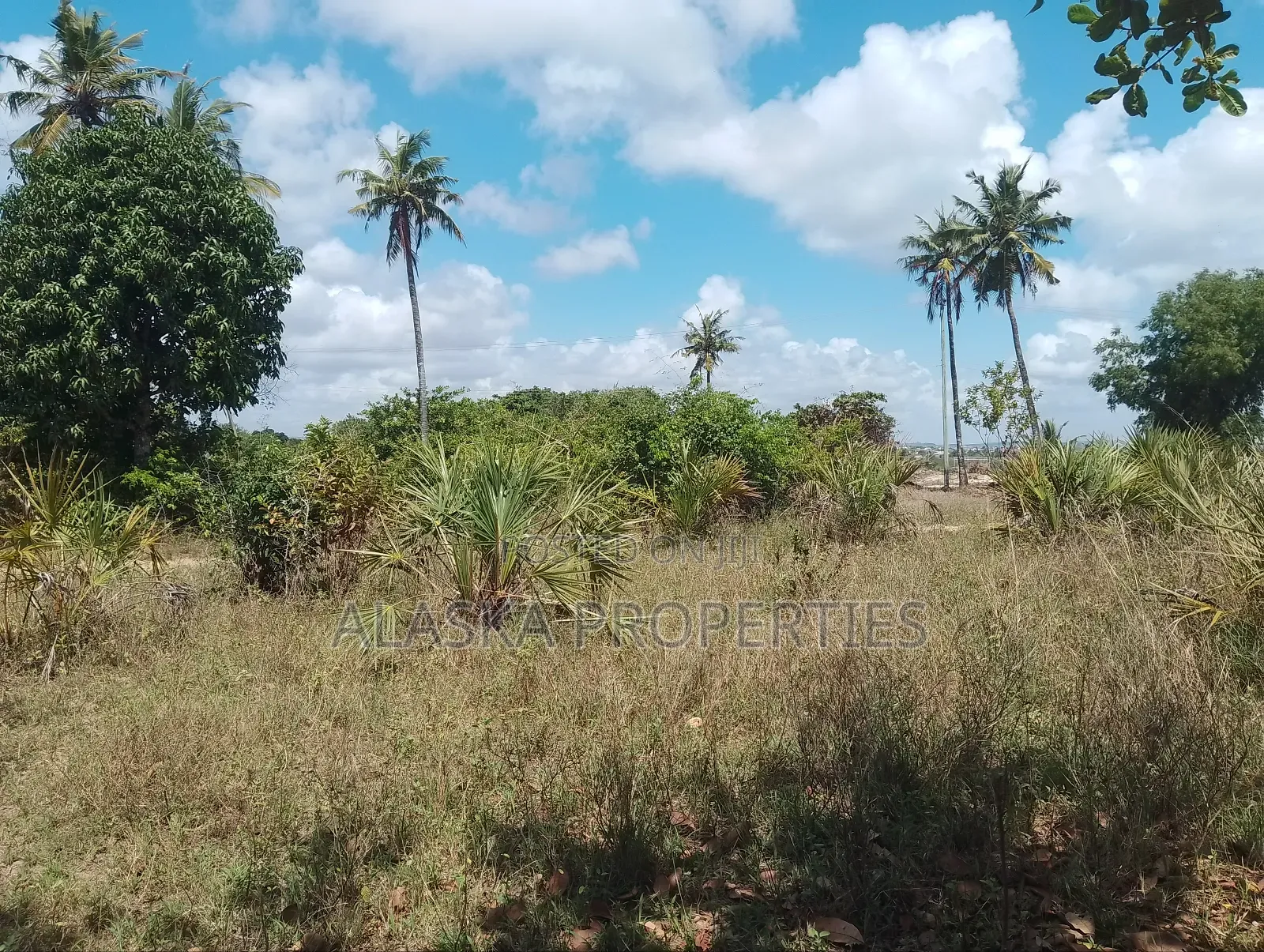 1/8 Prime Plot for Sale in Dongo Kundu Bypass