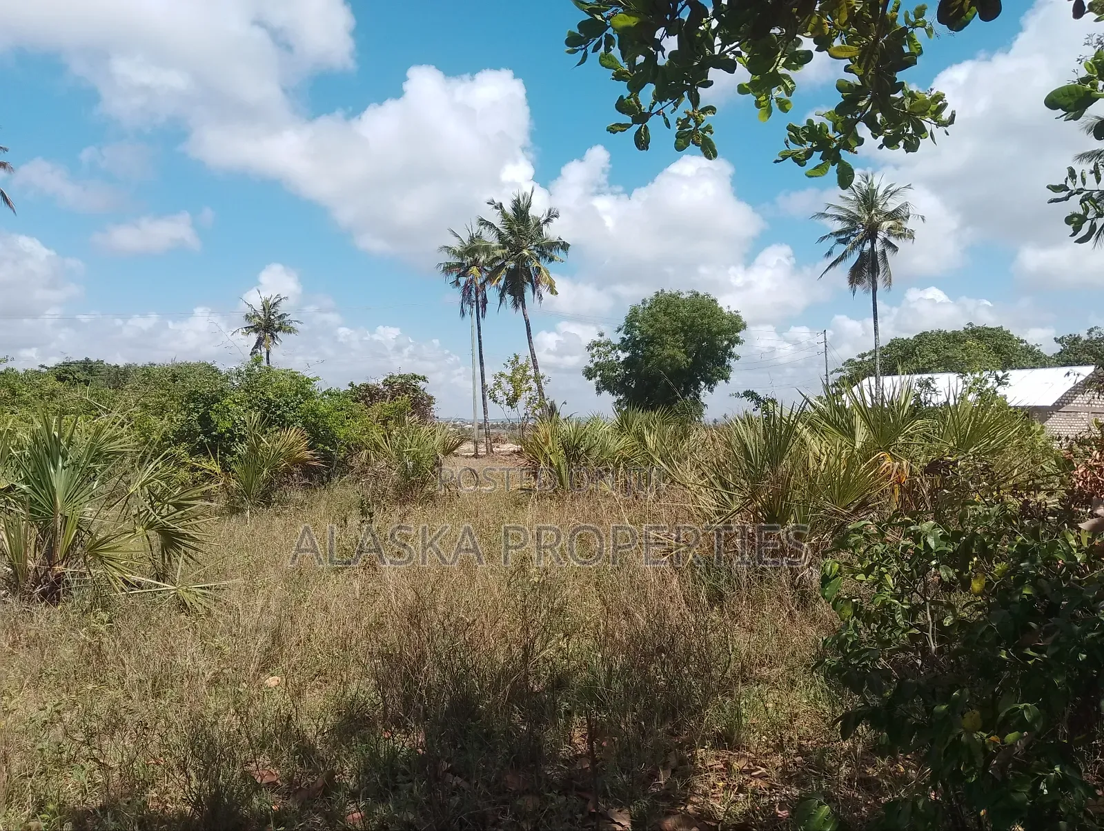 1/8 Prime Plot for Sale in Dongo Kundu Bypass