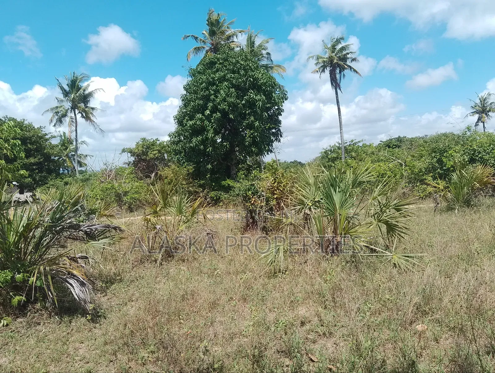 1/8 Prime Plot for Sale in Dongo Kundu Bypass