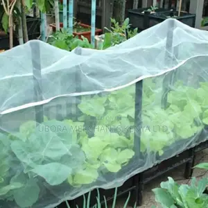 Anti-Insect Netting 3x50m