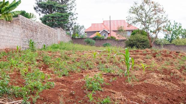 50*100 Plots - main view