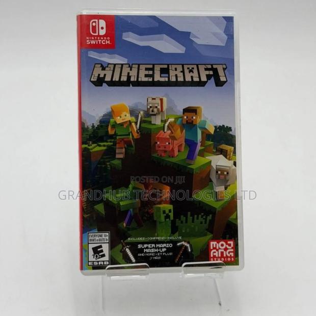 Minecraft Nintendo Game