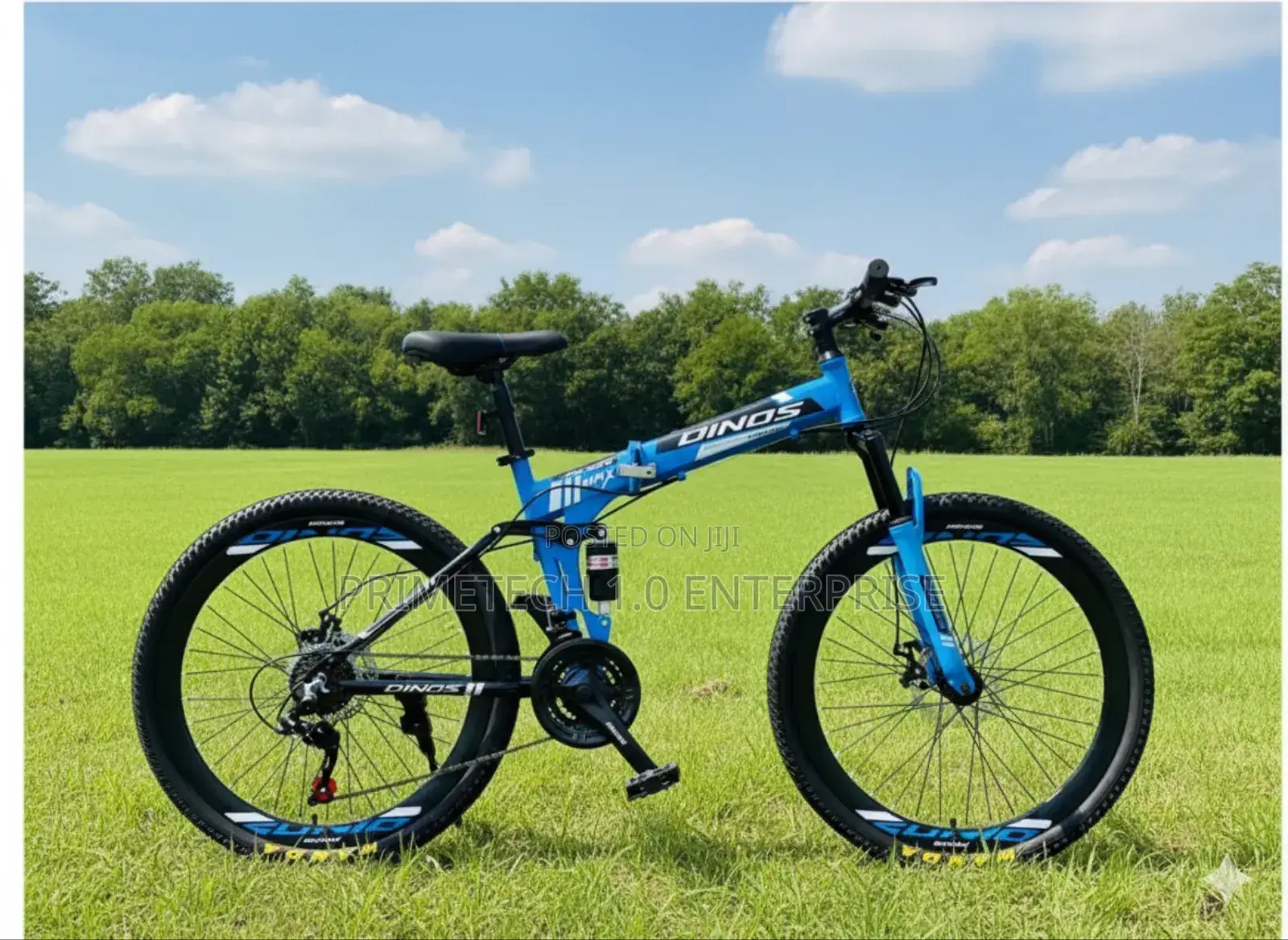 Dino's Folding Bicycle