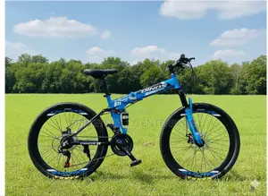 Dino's Folding Bicycle