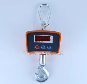 Crane Scale 500kg