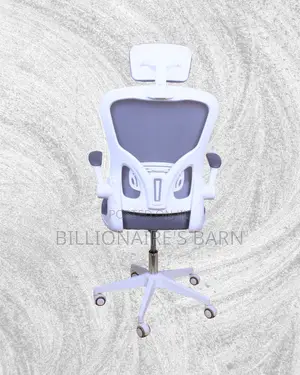 Adjustable Ergonomic White Orthopedic — Chair | Nairobi Delivery
