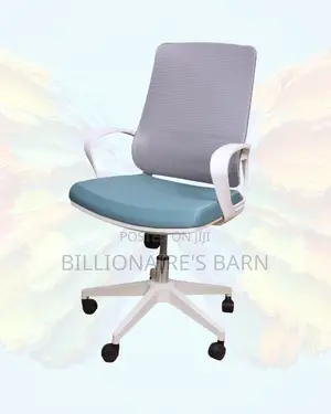 Breathable Office Chair (Best-Seller) | Order Yours Today