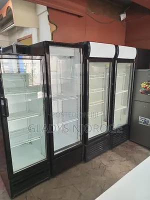 Affordable Chiller ( 300 - 500l) Perfect Working