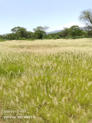 9000 Acres Is Available for Lease in Kajiado