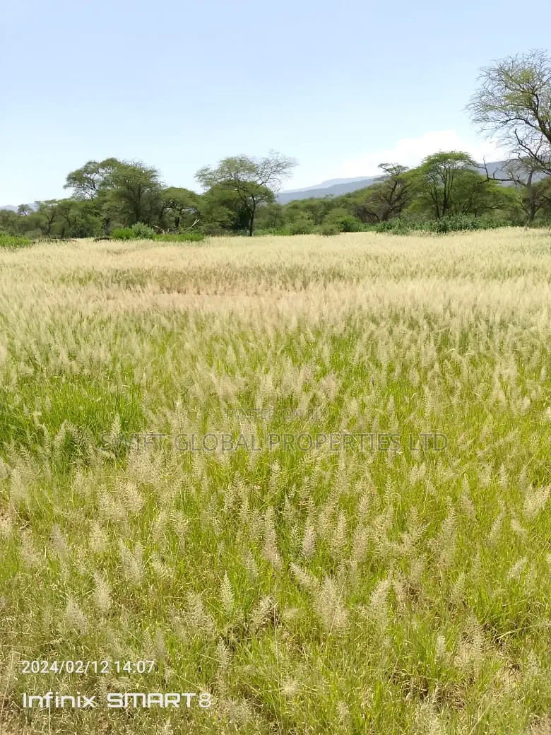 9000 Acres Is Available for Lease in Kajiado