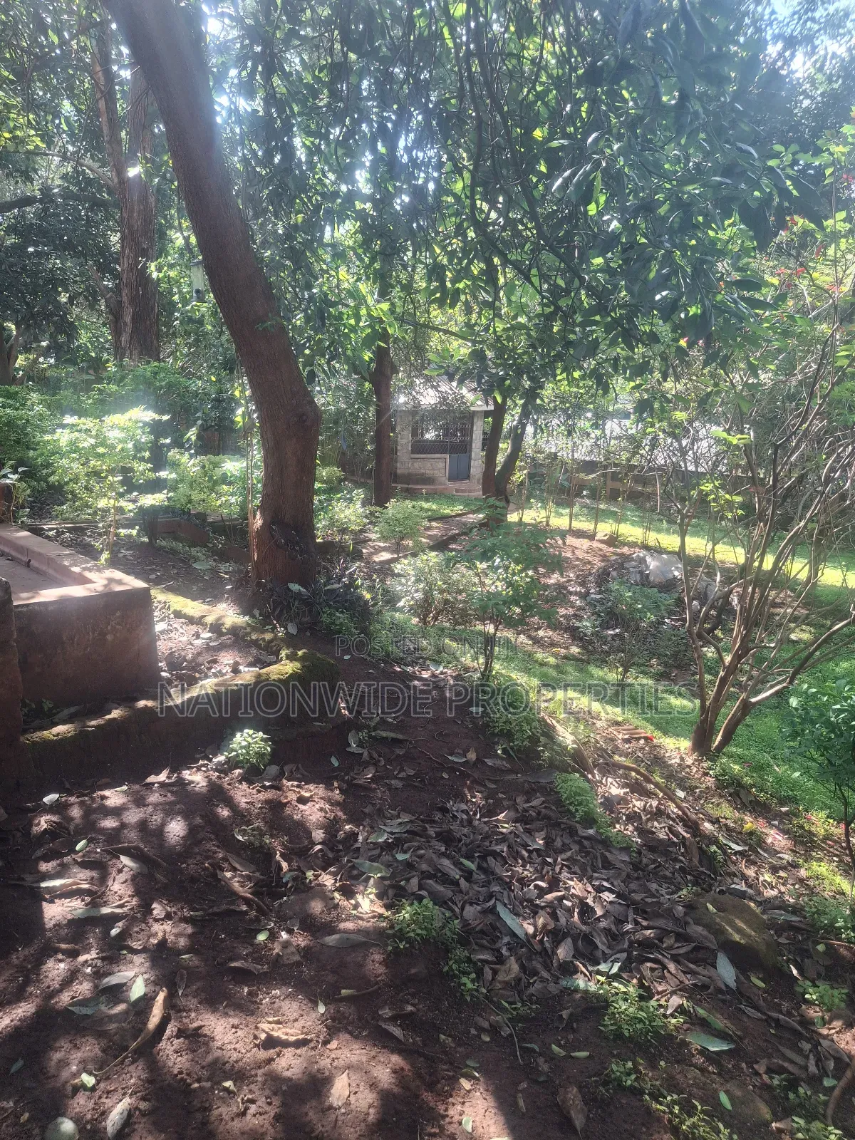 4 Bedroom Bungalow 1/2 Acre in Lavington