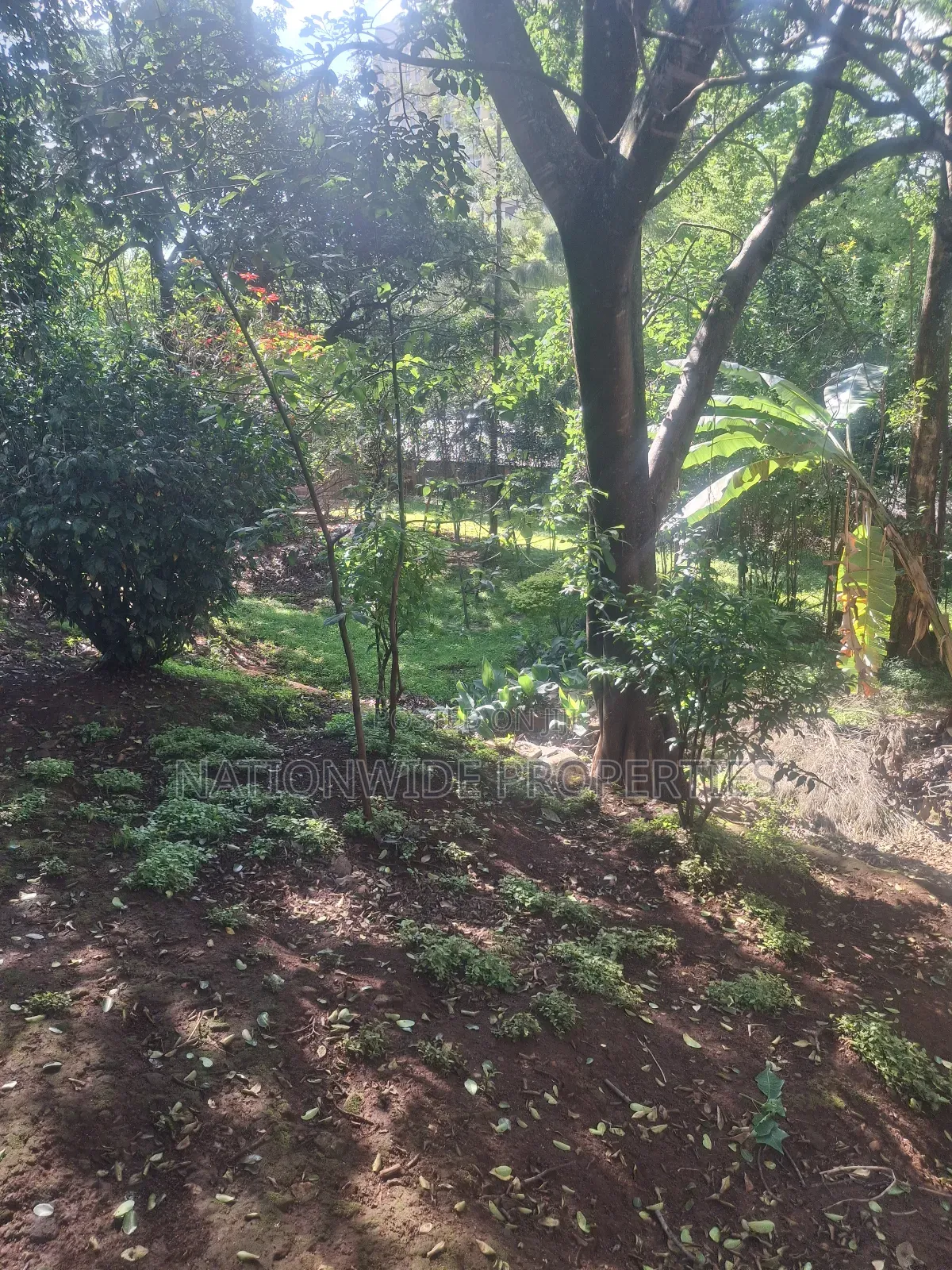 4 Bedroom Bungalow 1/2 Acre in Lavington
