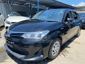 Toyota Axio 2018 Black