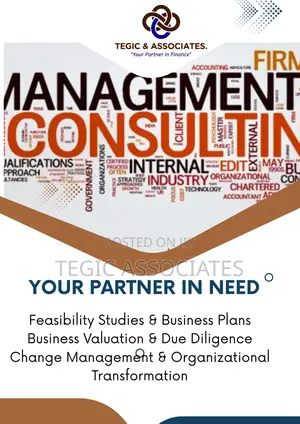 Management Consulting Services