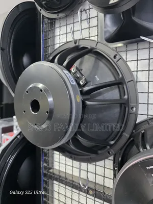 Dexo Sy12-30 Twelve Inch Naked Speaker