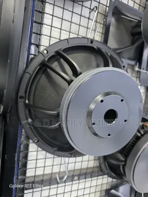 Dexo Sy12-30 Twelve Inch Naked Speaker