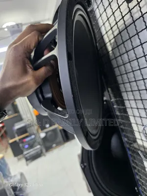 Dexo Sy12-30 Twelve Inch Naked Speaker