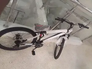 Premier Ride Bike Size 27 " Unisex