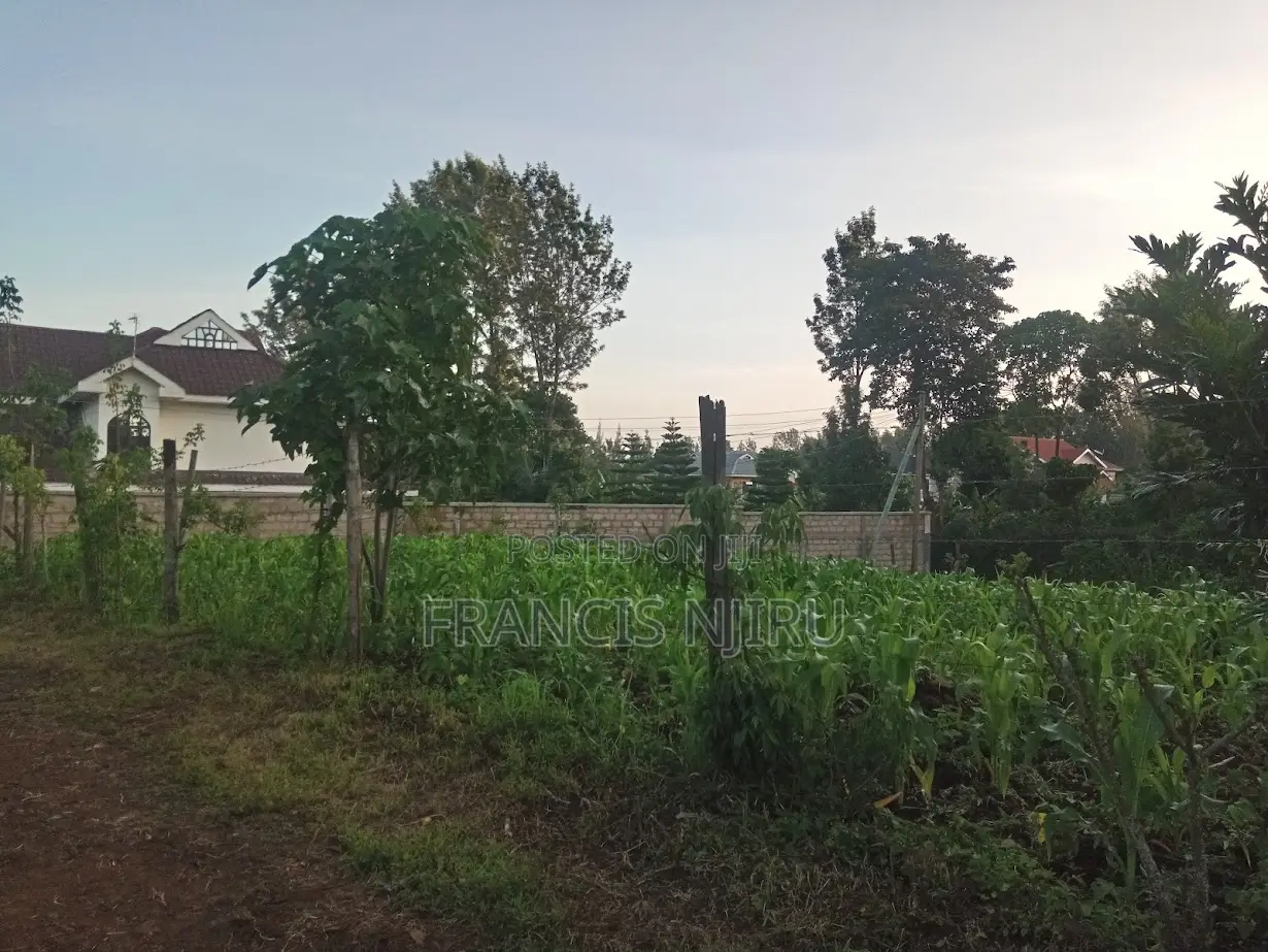 Prime Land for Sale in a Prestigious, Well-Developed Neighborhood
