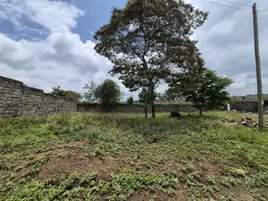 1/8 Acre Plot of Land for Sale in Membley Estate