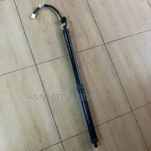 Toyota Harrier Electric Booty Shock
