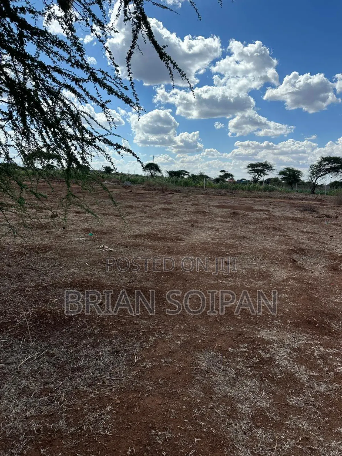 Plots for Sale in Kimana