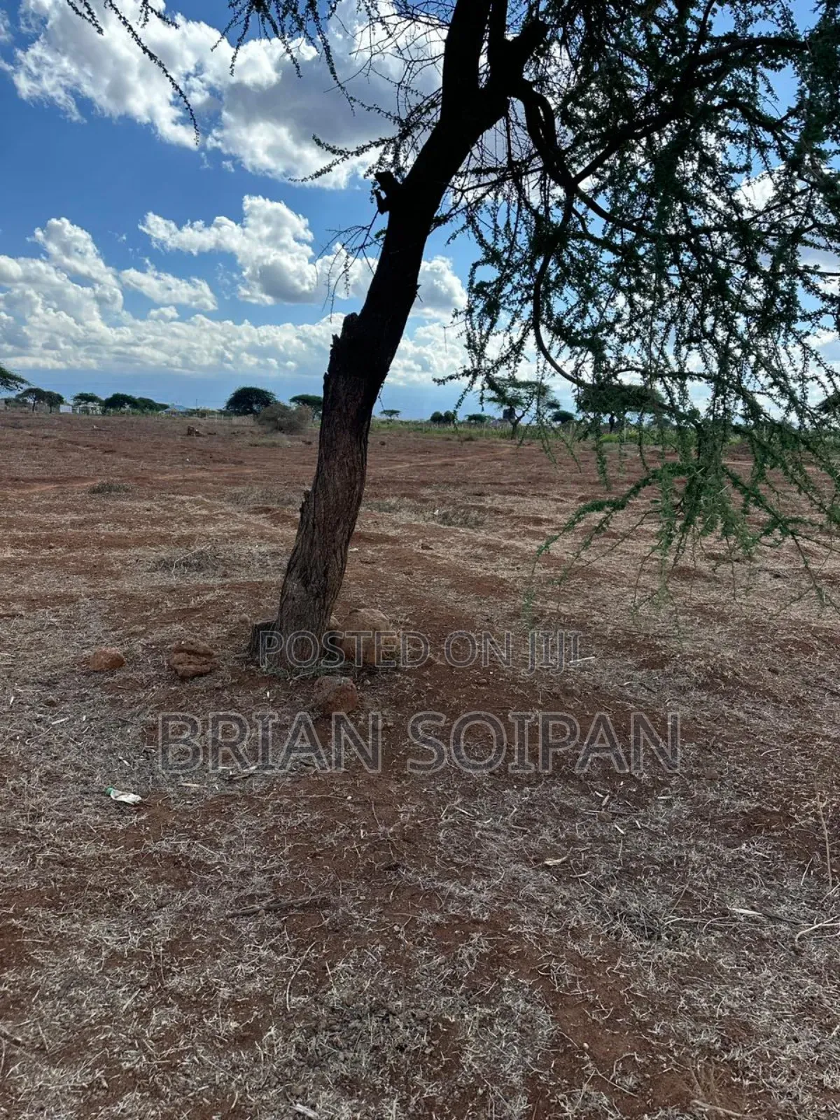 Plots for Sale in Kimana