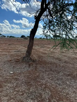 Plots for Sale in Kimana