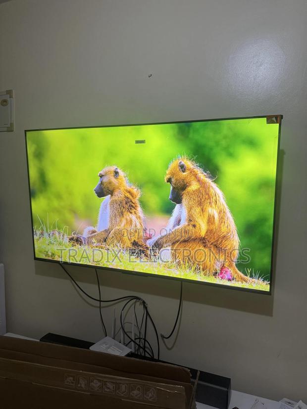 Television - main view