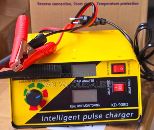 Intelligent Pulse Battery Charger 12v/24v