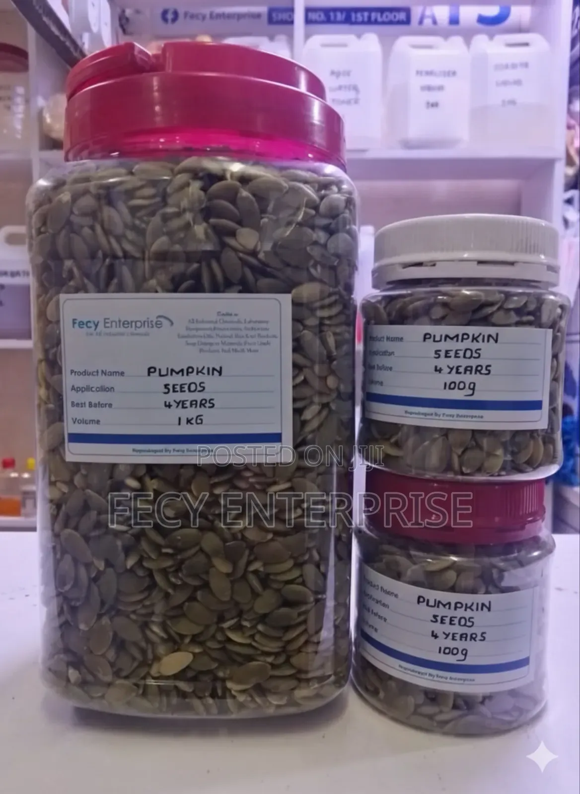 Pumpkin Seed Powder – 100% Natural Powder for Health Care