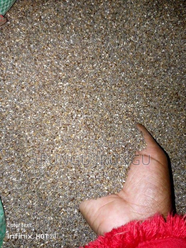 Chia Seeds for Planting - main view