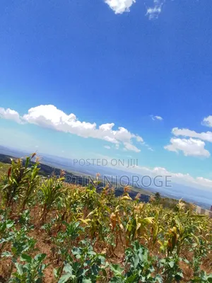2.5 Acres Ihindu, Naivasha