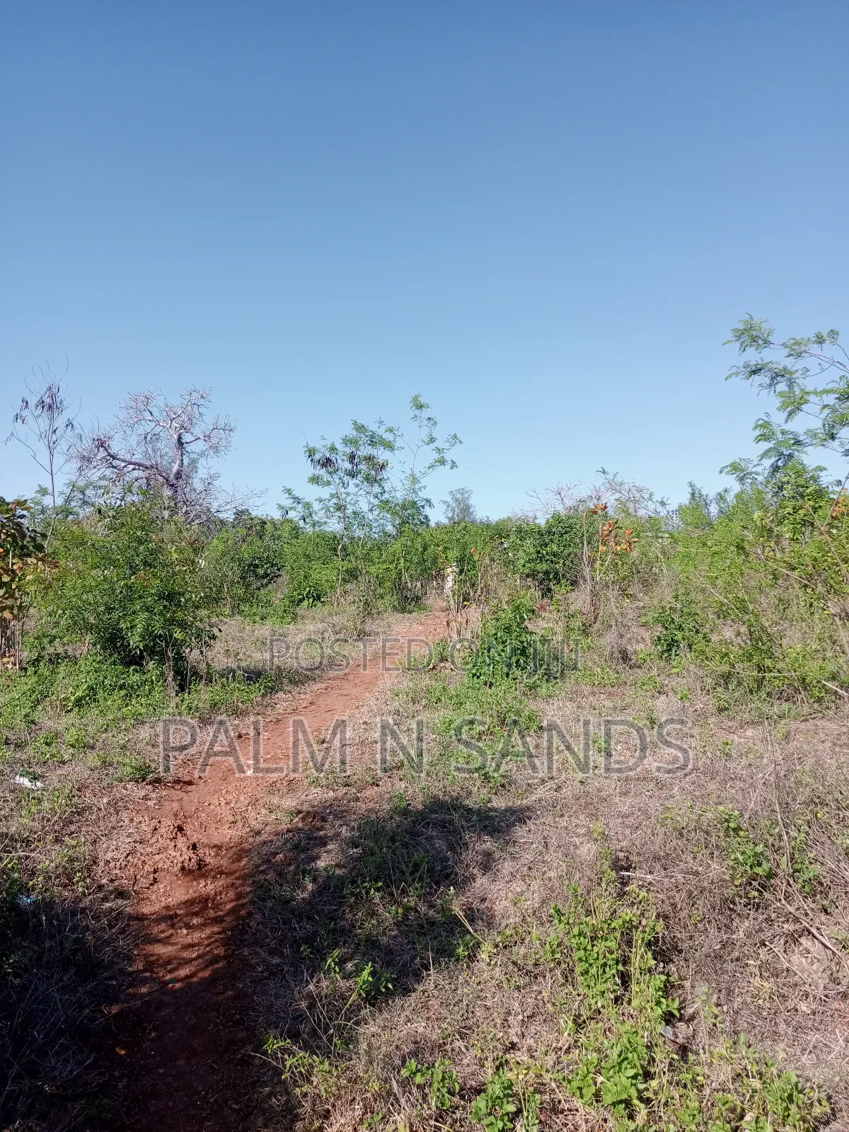 1/2 Acre on Sale Behind Manyatta Restaurant in Diani!