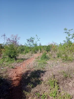 1/2 Acre on Sale Behind Manyatta Restaurant in Diani!