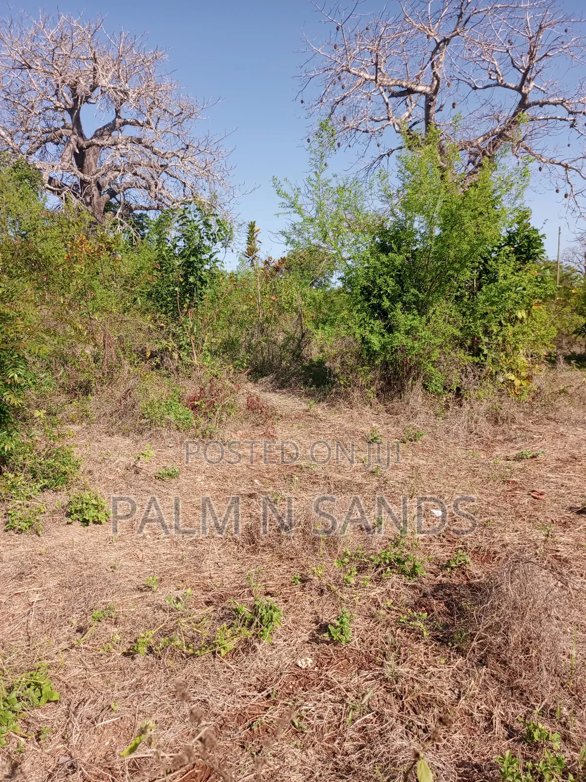 1/2 Acre on Sale Behind Manyatta Restaurant in Diani!