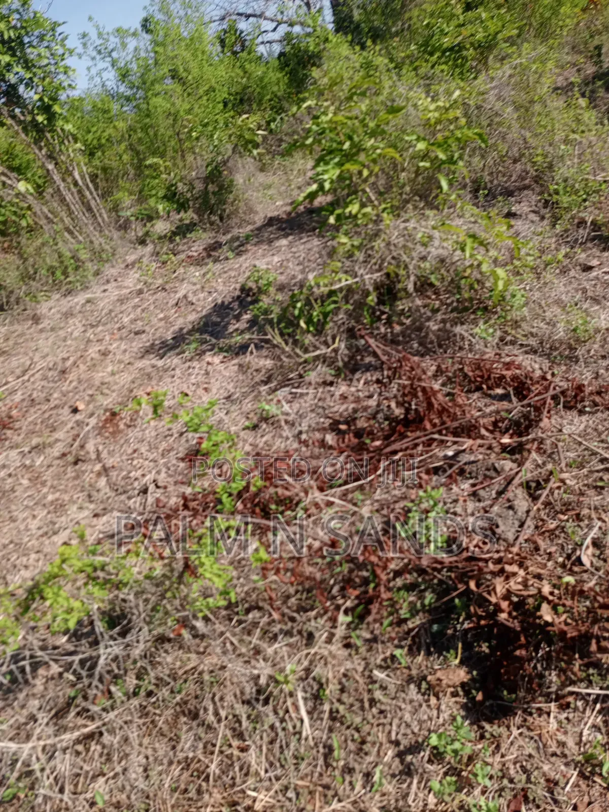 1/2 Acre on Sale Behind Manyatta Restaurant in Diani!
