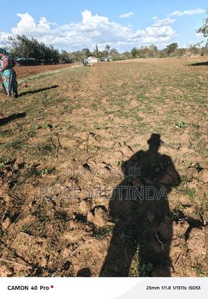 1and Half at Kwamutula - thumbnail 2