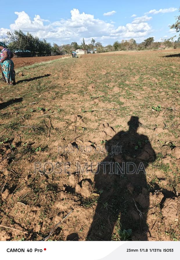 1and Half at Kwamutula - main view