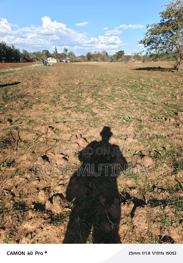 1and Half at Kwamutula - thumbnail 3