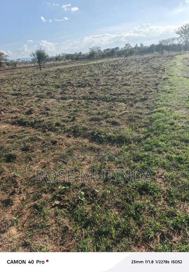 1and Half at Kwamutula - thumbnail 5