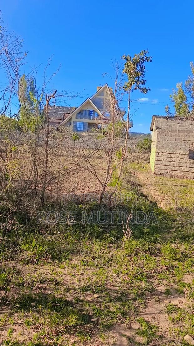 1and Half at Kwamutula - thumbnail 6