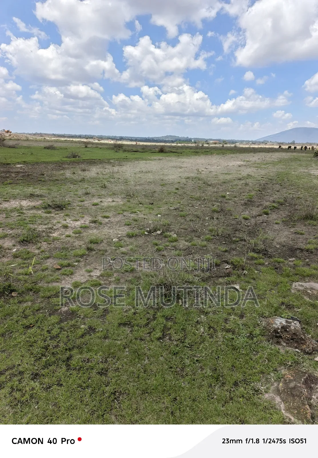 13 Acres at Nguluni