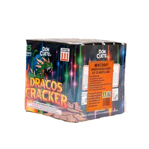 25-Shot 27-Second New Year Fireworks Display – 2026 in Style!