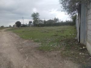 50x100 Plot in Kitengela-Acacia - thumbnail 2