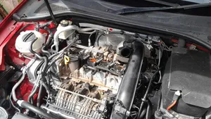 Vw, Audi, Porsche, Skoda and Seat Mechanic.