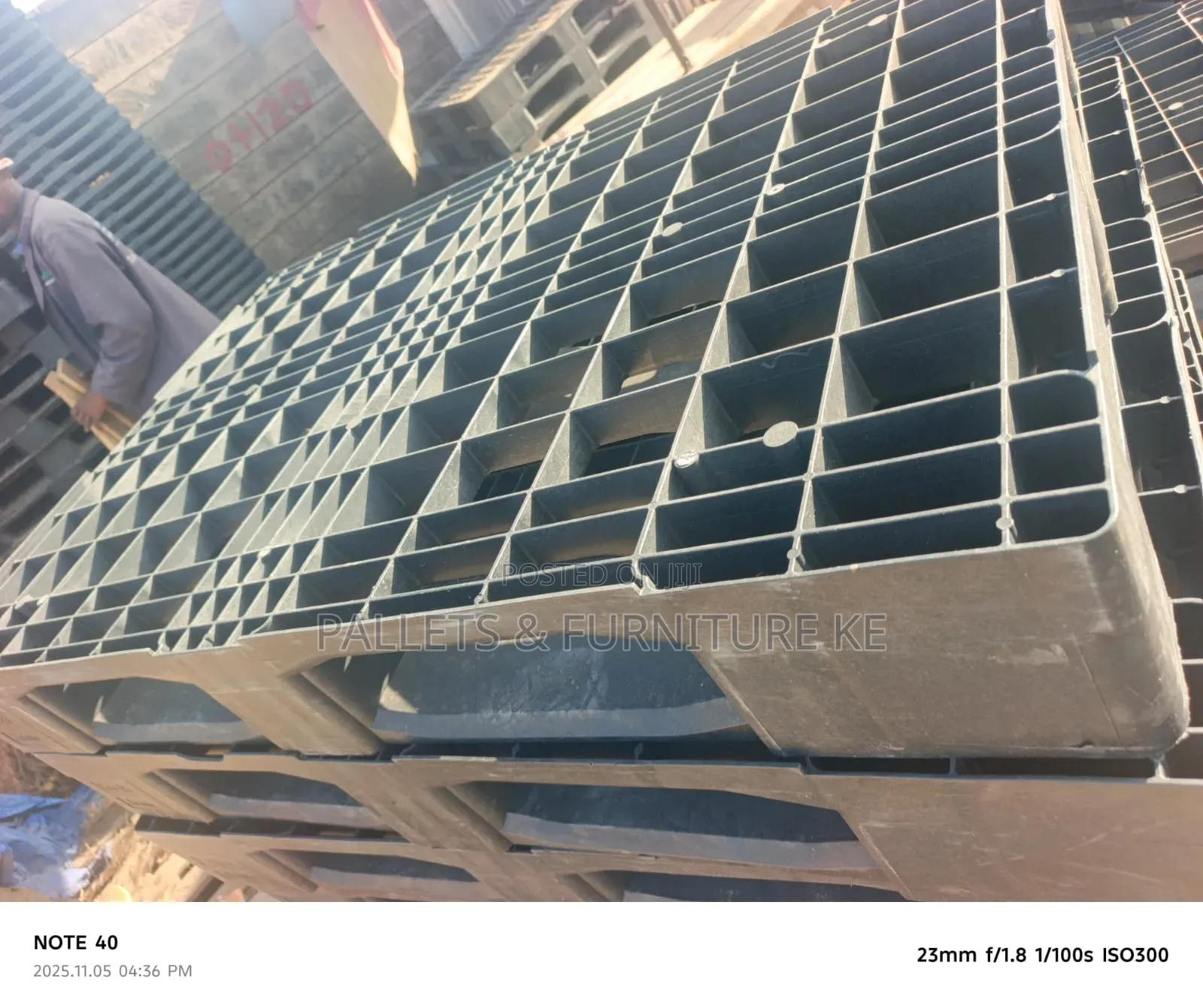 Cargo Shield Plastic Pallets